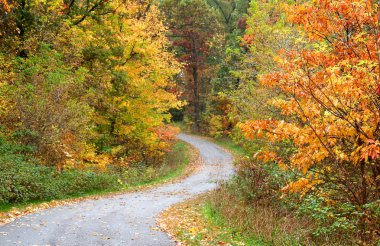 Scenic Bike Trail clipart