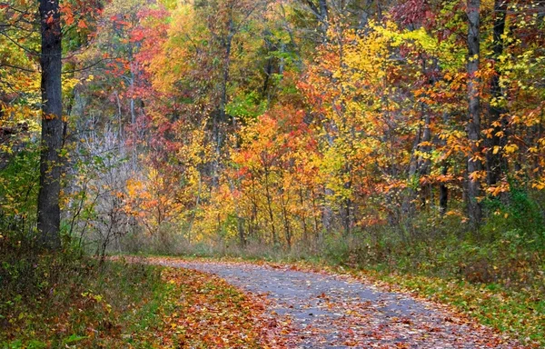 Autumn Drive Way — Stock Photo, Image