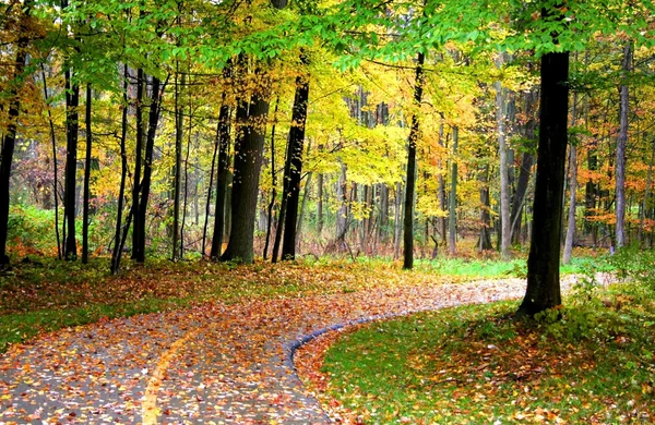 Camino de otoño Drive — Foto de Stock