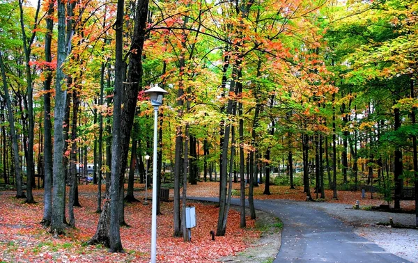 Podzimní cesta cesta — Stock fotografie