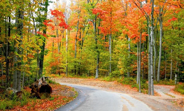 Herbsteinfahrt — Stockfoto