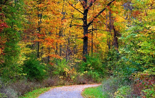 Herbsteinfahrt — Stockfoto