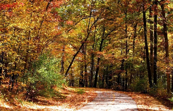 Autumn walk Way — Stock Photo, Image