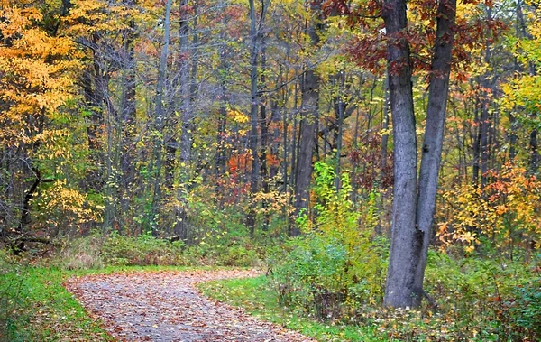 Autumn walk Way — Stock Photo, Image