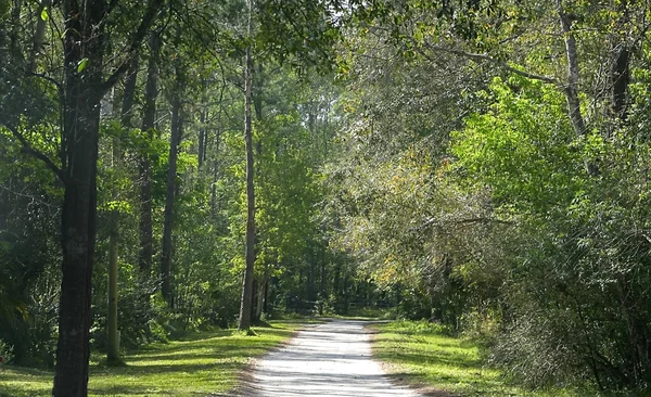 stock image Scenic walk way