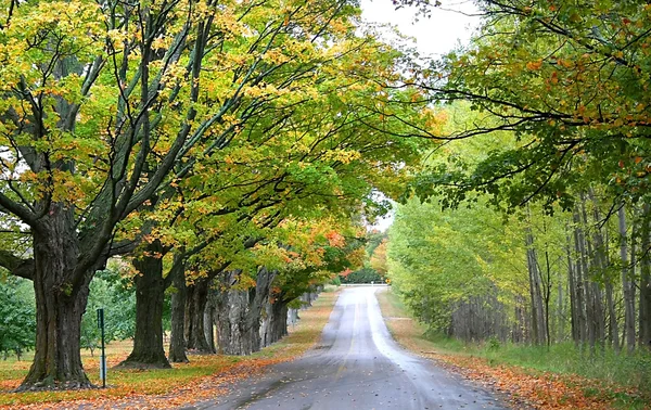Camino de otoño Drive —  Fotos de Stock