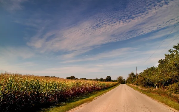 Droga przez pola kukurydzy — Zdjęcie stockowe