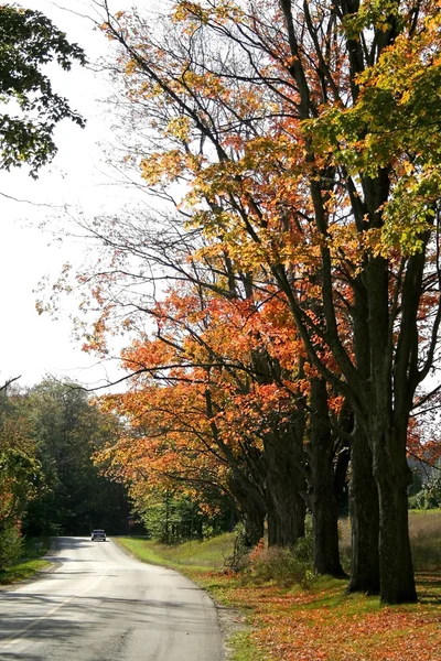 Autumn Drive — Stock Photo, Image