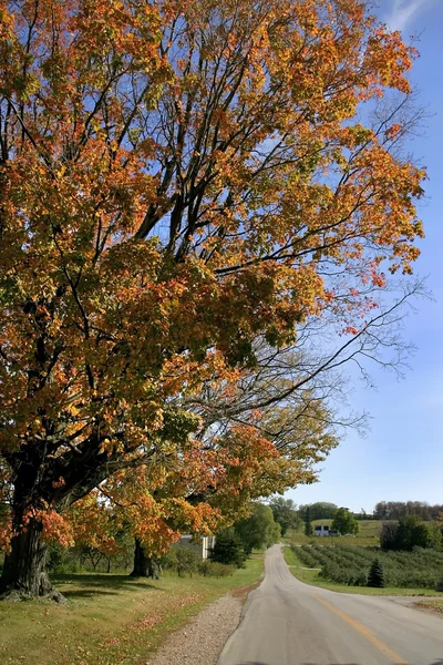 Autumn Drive — Stock Photo, Image