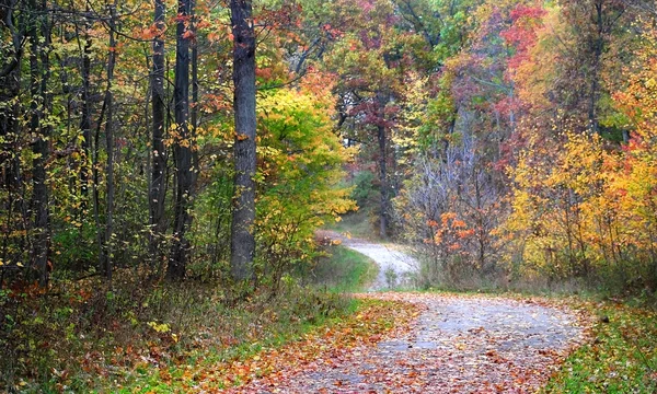Camino de otoño a pie —  Fotos de Stock