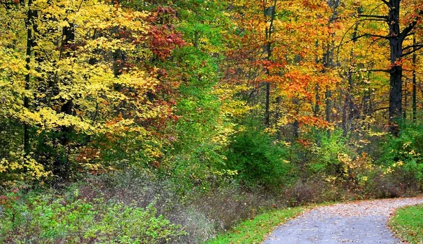 Chemin de randonnée d'automne — Photo