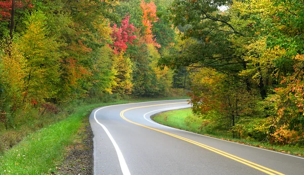 stock image Autumn Drive