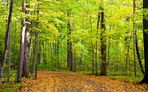 Early Autumn Landscape — Stock Photo, Image