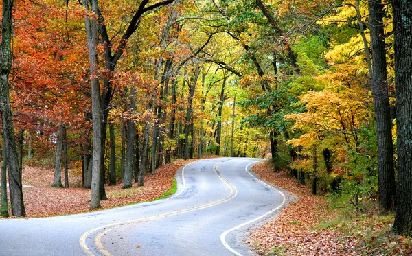 秋のドライブ — ストック写真