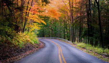 Beautiful Autumn Drive clipart