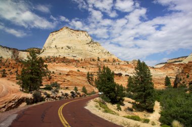 zion national park manzaralı sürücü