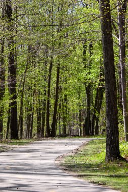 Doğa Manzaralı yürüyüş yolu