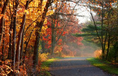 Scenic autumn road clipart