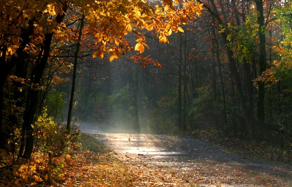 Otoño escénico — Foto de Stock