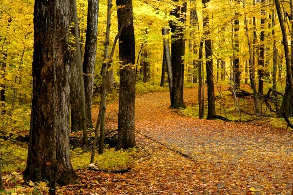 Herbstwanderweg — Stockfoto