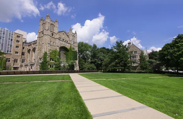 Universidade de Michigan — Fotografia de Stock