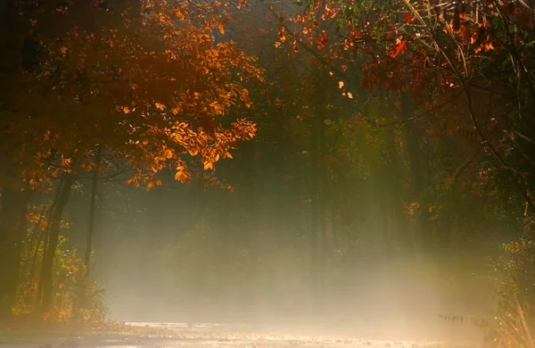 Autumn morning — Stock Photo, Image