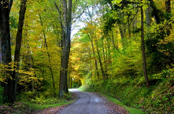 Fietsweg — Stockfoto