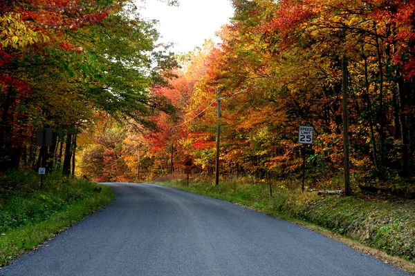 Herbstfahrt — Stockfoto