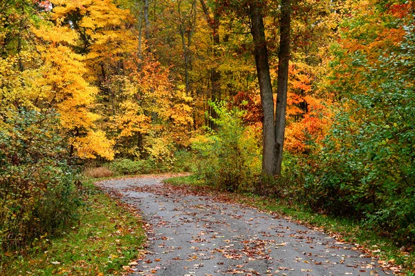 Herbstfahrt — Stockfoto