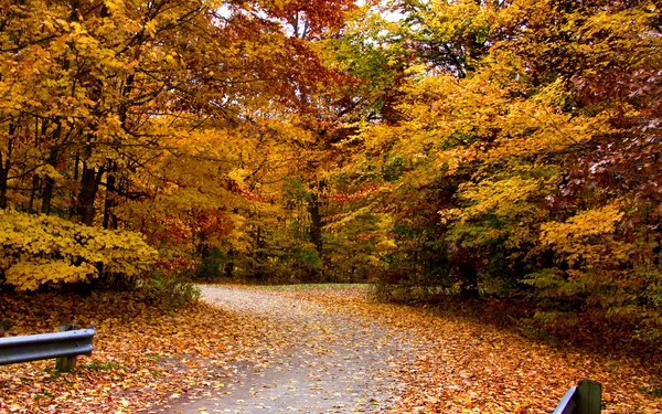 Мальовнича осінь дорога — стокове фото