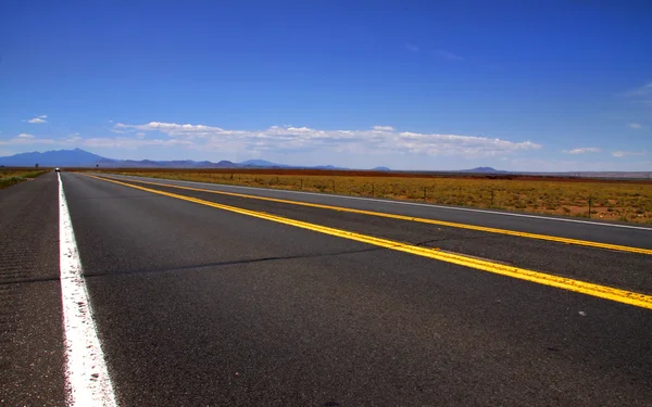 砂漠のドライブ — ストック写真