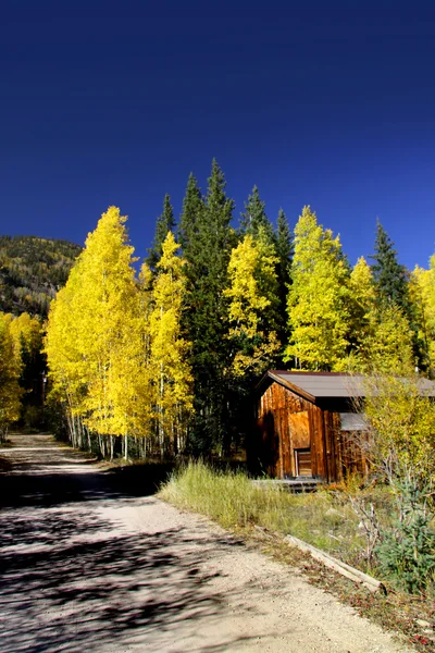 在科罗拉多州的秋天 — 图库照片