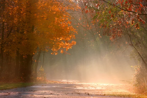 Paysage d'automne brumeux — Photo