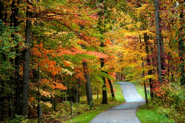 Podzimní kolo stezka — Stock fotografie