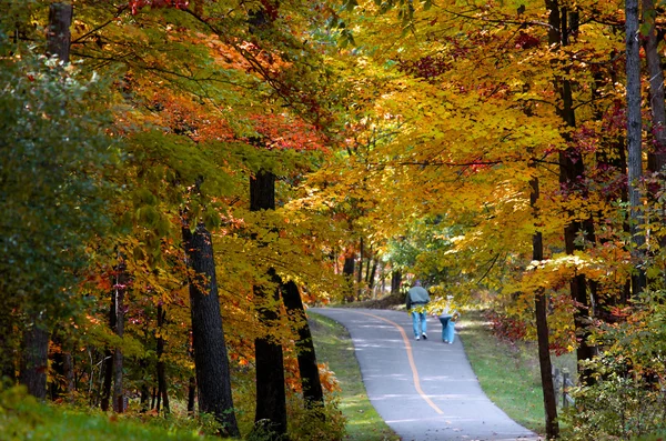 Autumn bike trail — Stock Photo, Image