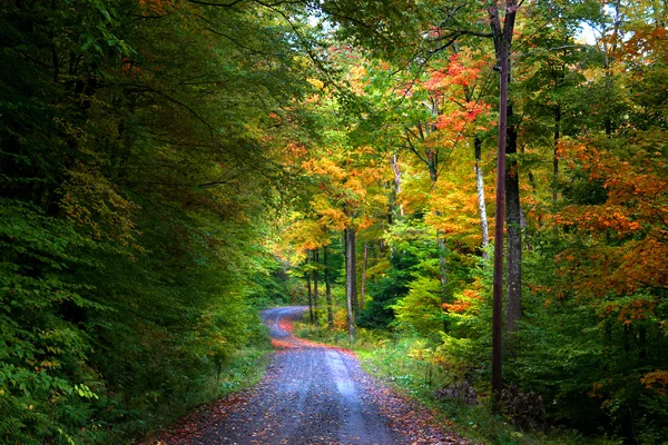 Höstens gångväg — Stockfoto
