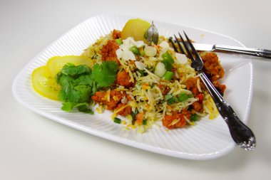 tavuk biryani