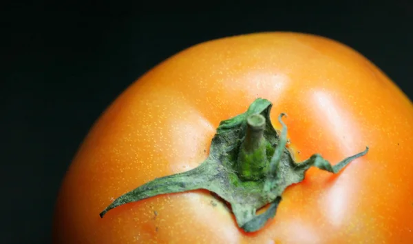 Närbild på tomat — Stockfoto