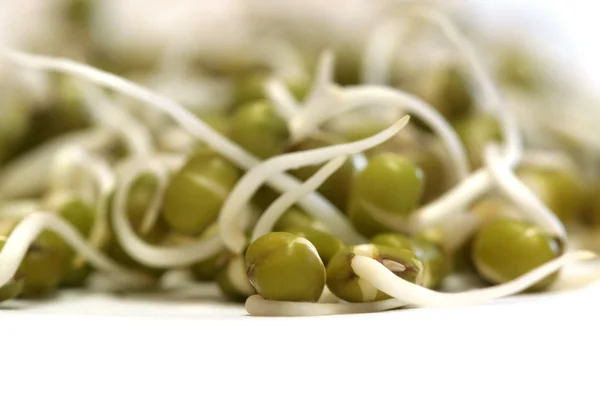 Mung Bean Sprouts — Stock Photo, Image
