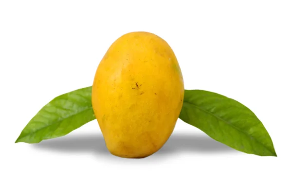 stock image Mango and two mango leaves