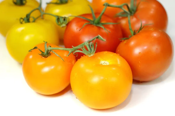 Multi color tomatoes — Stock Photo, Image