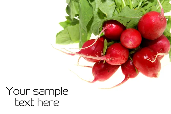 stock image Fresh radish with leaves