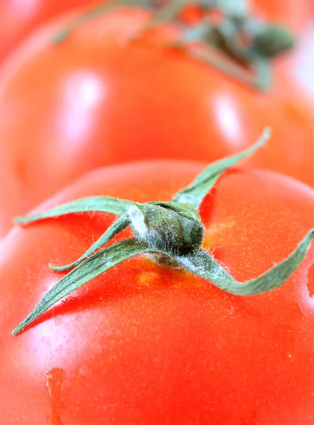 Tomates frescos —  Fotos de Stock