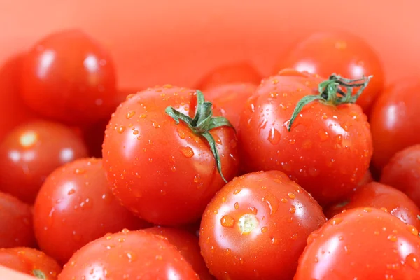 Fond de tomate — Photo