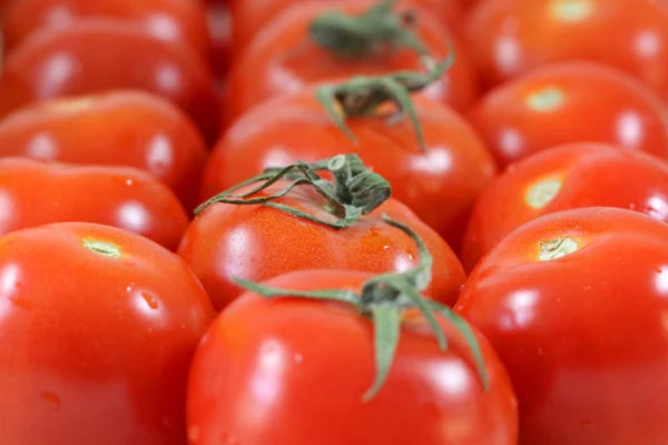 Pomidor tło — Zdjęcie stockowe
