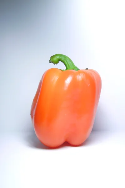 Orangen Paprika — Stockfoto