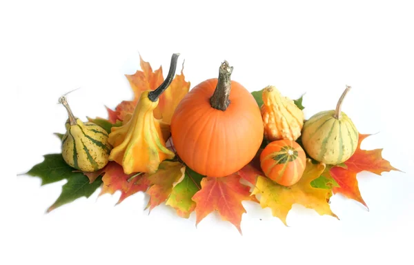 Pumpkin Decoration — Stock Photo, Image