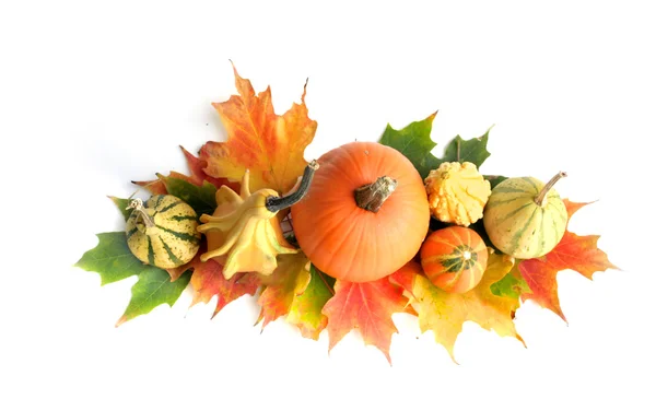Pumpkin Decoration — Stock Photo, Image