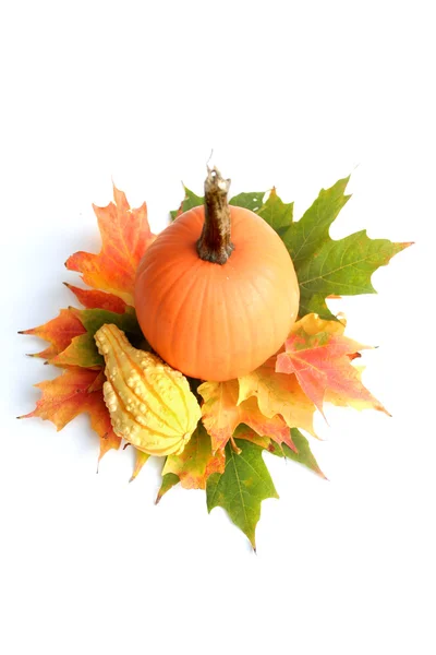 Pumpkin Arrangement — Stock Photo, Image