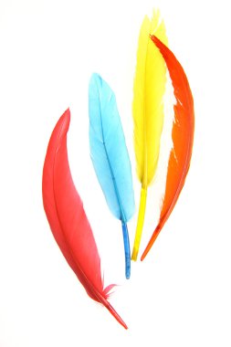 Colorful Feathers clipart